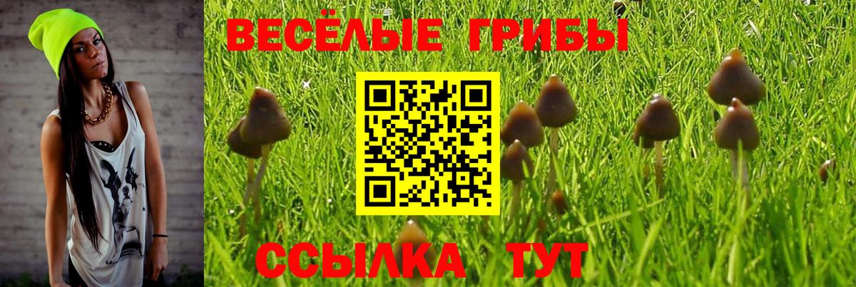 Галлюциногенные грибы Magic Shrooms Торжок