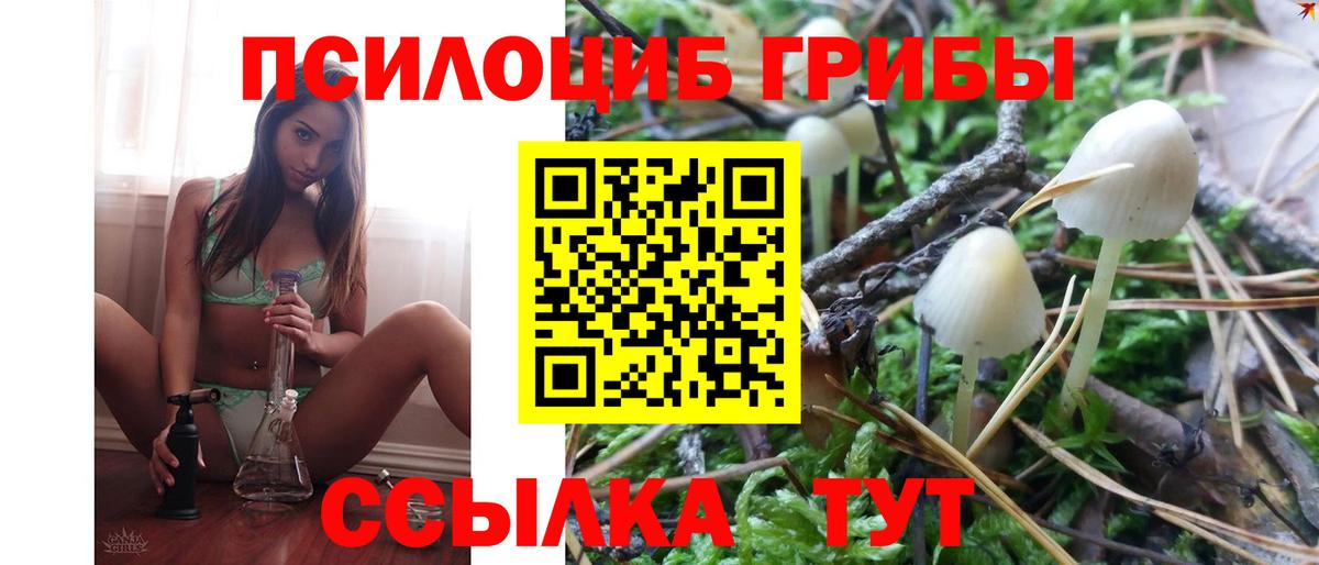 Галлюциногенные грибы Cubensis  Вход с VPN  Торжок 
