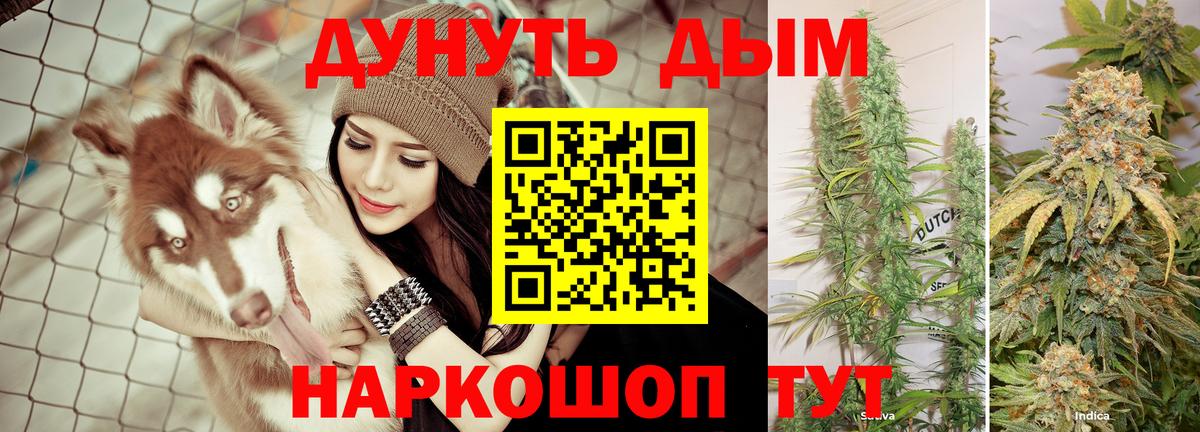 Бошки марихуана Amnesia  Вход с VPN  Каннабис план  Торжок  МАРИХУАНА семена  Канабис Ganja 